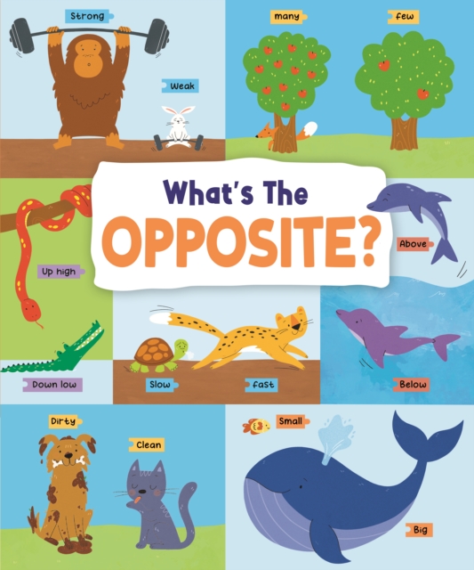 What's the Opposite? : Big and Small, High and Low and Many More..., Hardback Book