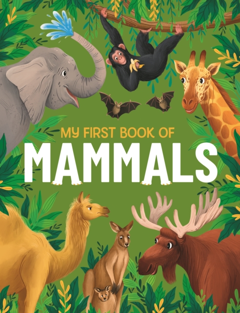 My First Book of Mammals : An Awesome First Look at Mammals from Around the World, Hardback Book
