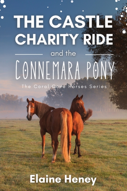 The Castle Charity Ride and the Connemara Pony - The Coral Cove Horses Series, Paperback / softback Book