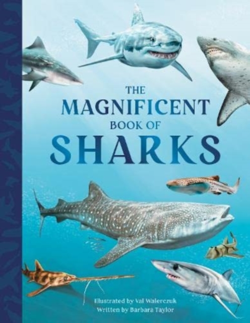 The Magnificent Book of Sharks, Hardback Book