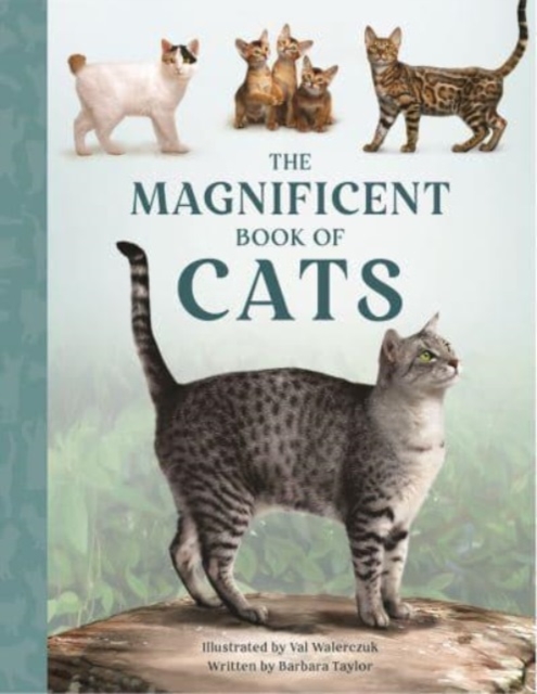 The Magnificent Book of Cats, Hardback Book