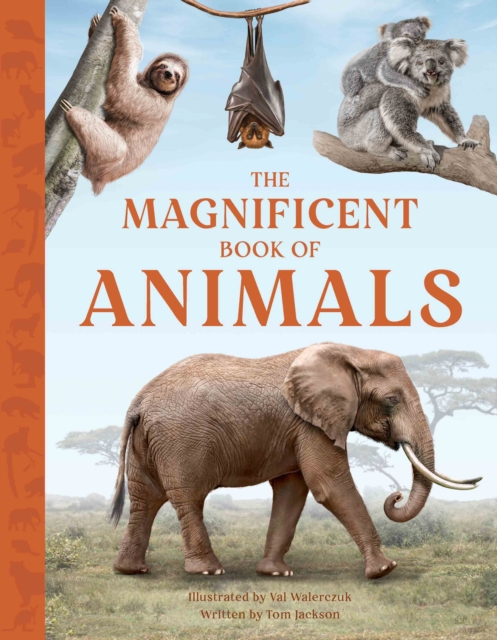 The Magnificent Book of Animals, Hardback Book