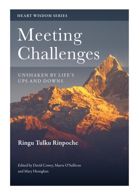 Meeting Challenges : Unshaken by Life's Ups and Downs, EPUB eBook