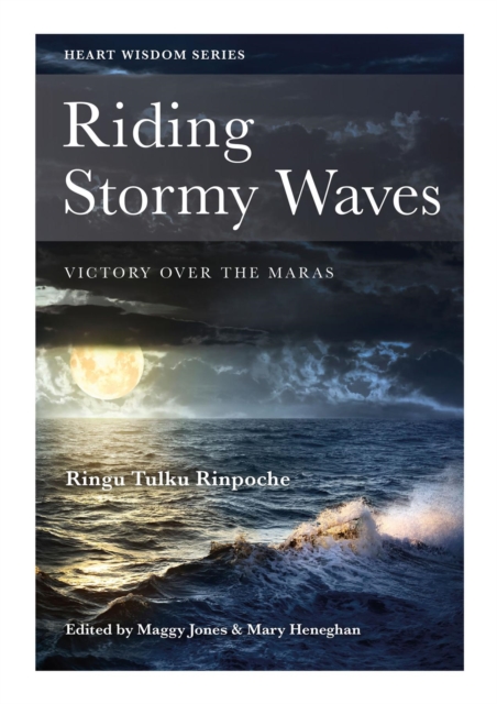 Riding Stormy Waves : Victory over the Maras, EPUB eBook