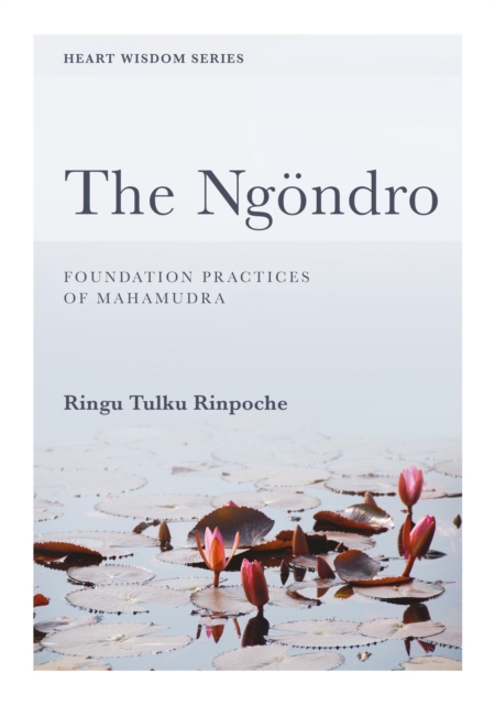 The Ngondro : Foundation practices of Mahamudra, EPUB eBook