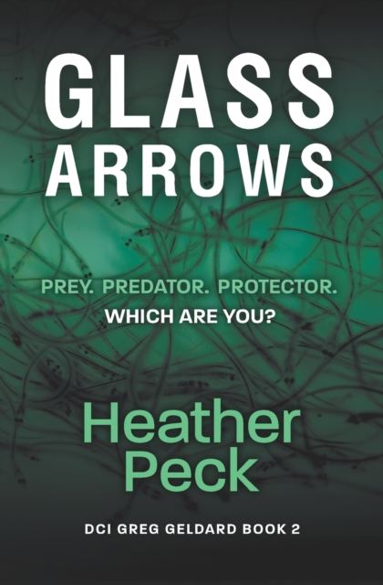 Glass Arrows, Paperback / softback Book