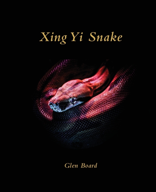 Xing Yi Snake, Paperback / softback Book