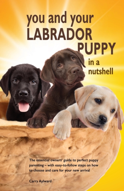 You and Your Labrador Puppy in a Nutshell : The essential owners' guide to perfect puppy parenting - with easy-to-follow steps on how to choose and care for your new arrival, Paperback / softback Book