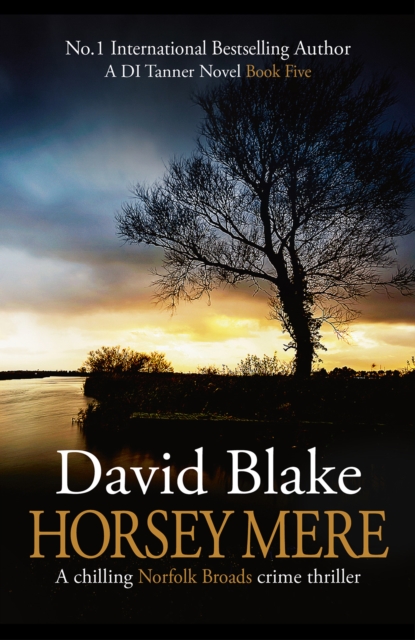 Horsey Mere : A chilling Norfolk Broads crime thriller, Paperback / softback Book
