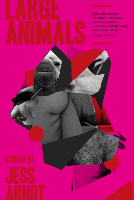 Large Animals, Paperback / softback Book