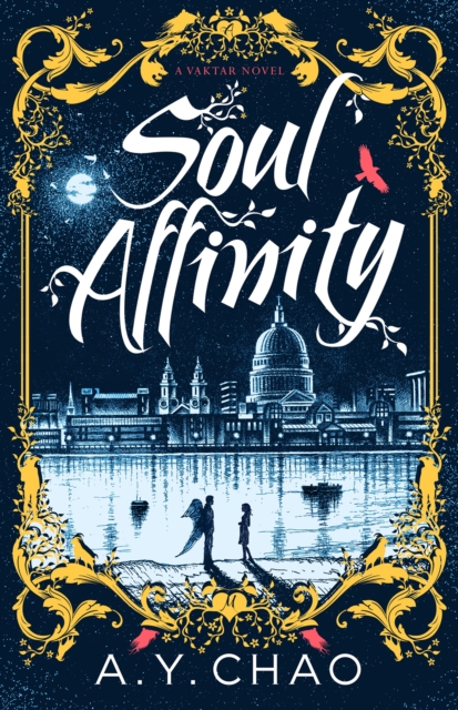 Soul Affinity : A Vaktar Novel, Paperback / softback Book