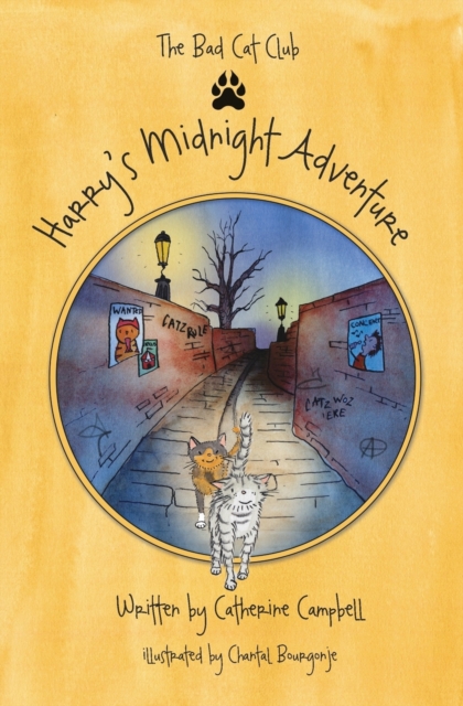 Harry's Midnight Adventure, Paperback / softback Book
