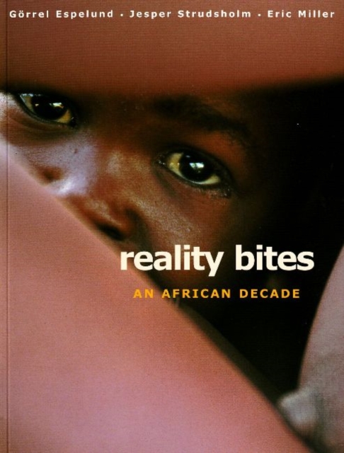 Reality Bites : An African Decade, Paperback Book
