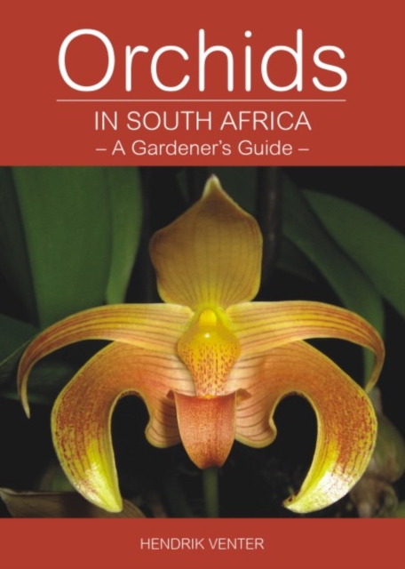 Orchids in South Africa : A gardener's guide, Paperback / softback Book