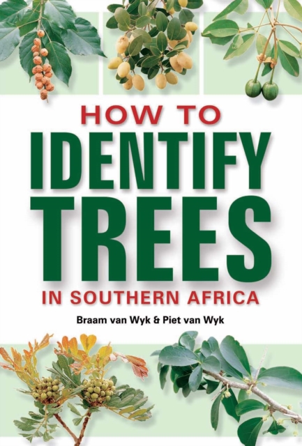 How to Identify Trees in Southern Africa, PDF eBook