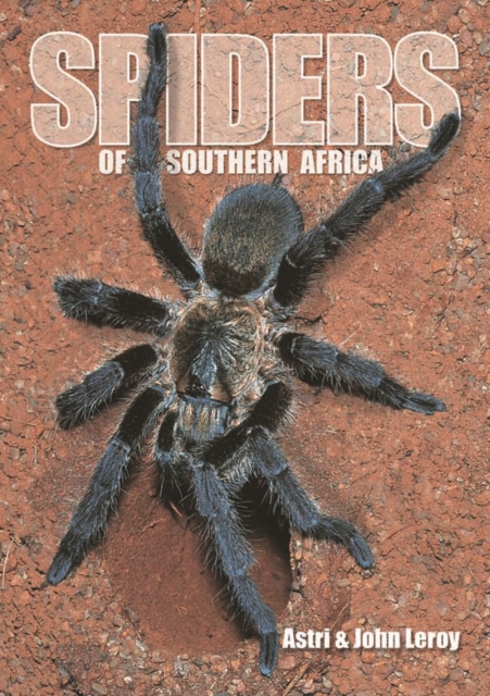 Spiders of Southern Africa, PDF eBook