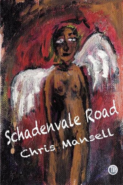 Schadenvale Road, Hardback Book