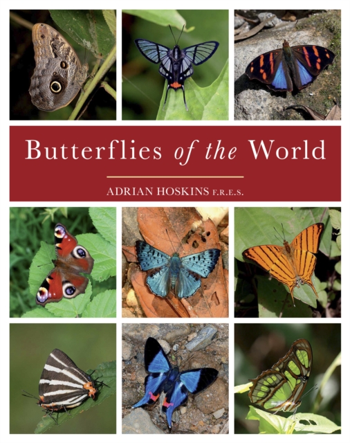 Butterflies of the World, Hardback Book