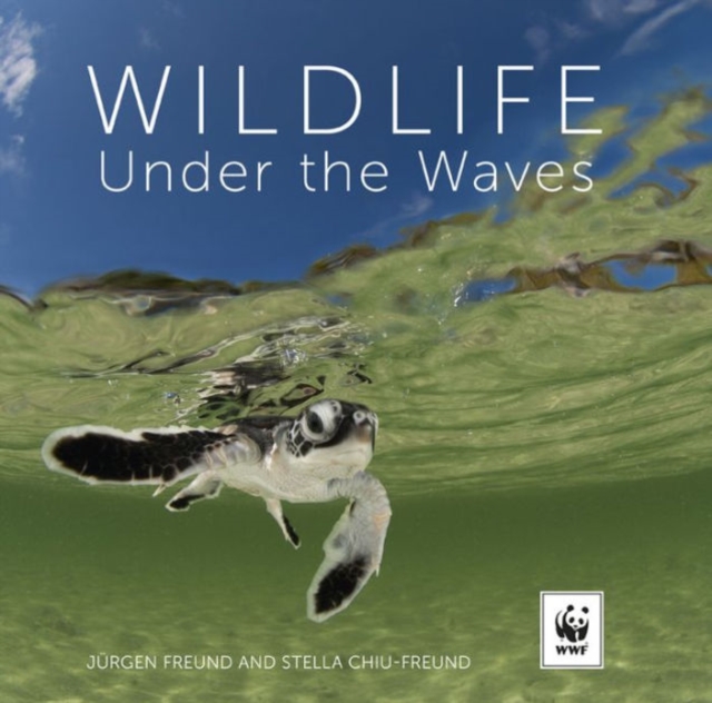 Wildlife Under the Waves, Hardback Book