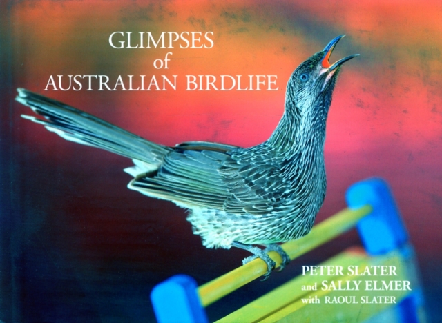 Glimpses of Australian Birdlife, Hardback Book