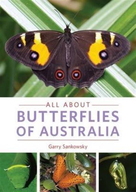 All About Butterflies of Australia, Paperback / softback Book