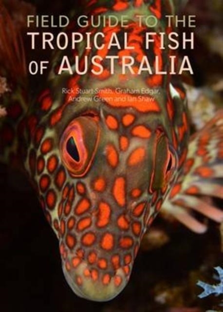 Field Guide to the Tropical Fish of Australia, Paperback / softback Book