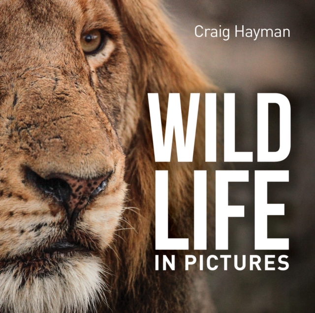 Wildlife In Pictures, Hardback Book