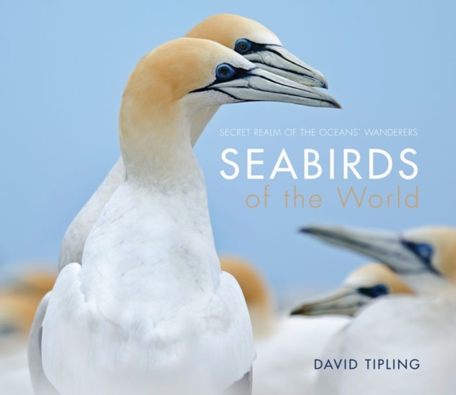 Seabirds of the World, Hardback Book