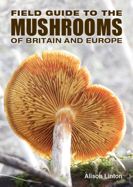 Field Guide to Mushrooms of Britain and Europe, Paperback / softback Book
