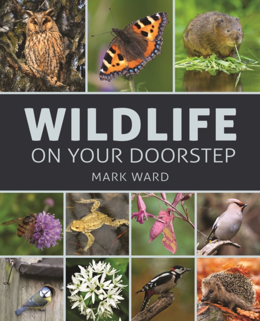 Wildlife on Your Doorstep, Paperback / softback Book