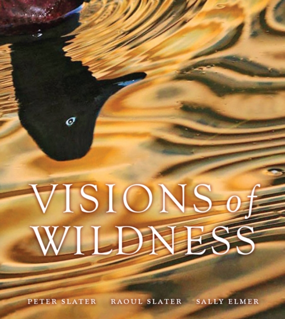 Visions of Wildness, Hardback Book