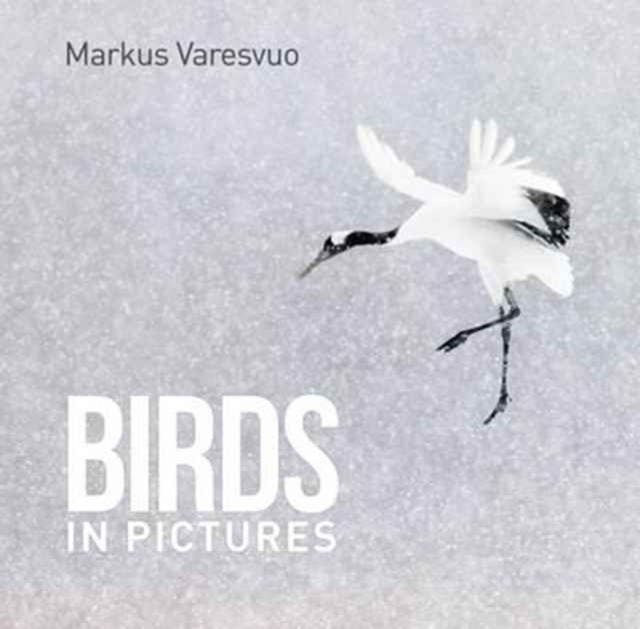 Birds in Pictures, Hardback Book
