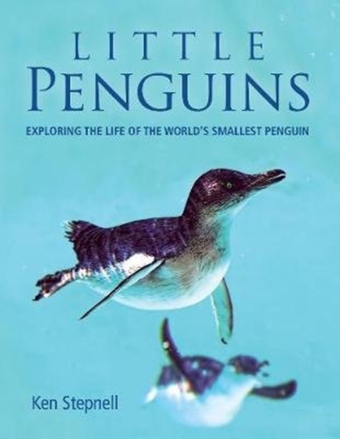 Little Penguins, Paperback / softback Book