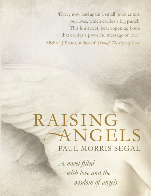 Raising Angels : A novel filled with love and the wisdom of Angels, Paperback / softback Book