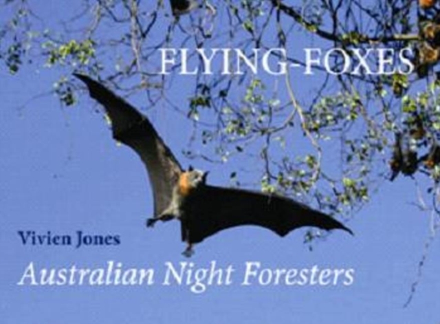 Flying Foxes : Australian Night Foresters, Hardback Book