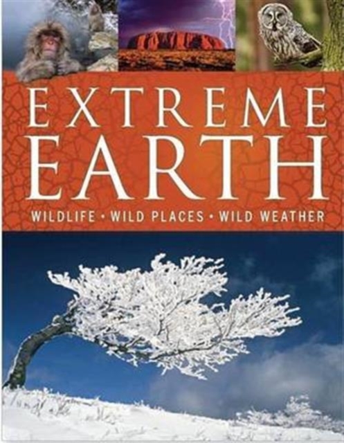 Extreme Earth : Wildlife, Wild Places, Wild Weather, Hardback Book