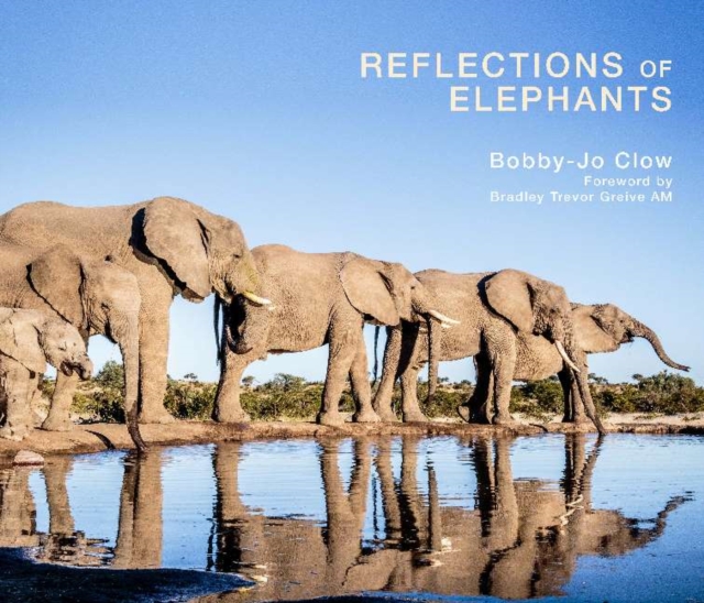 Reflections of Elephants, Hardback Book