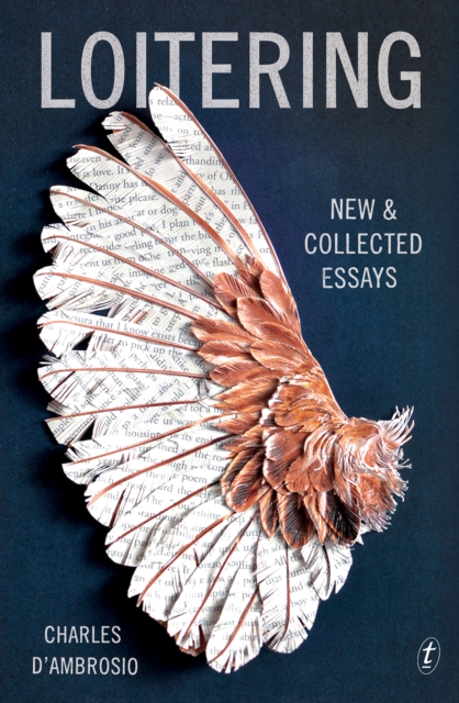 Loitering : New & Collected Essays, Paperback / softback Book