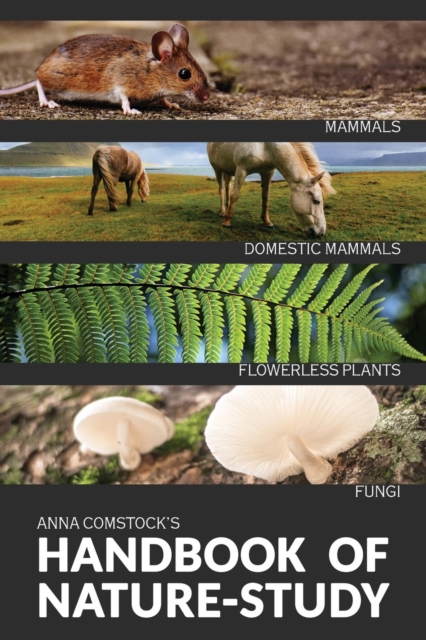 The Handbook Of Nature Study in Color - Mammals and Flowerless Plants, Paperback / softback Book