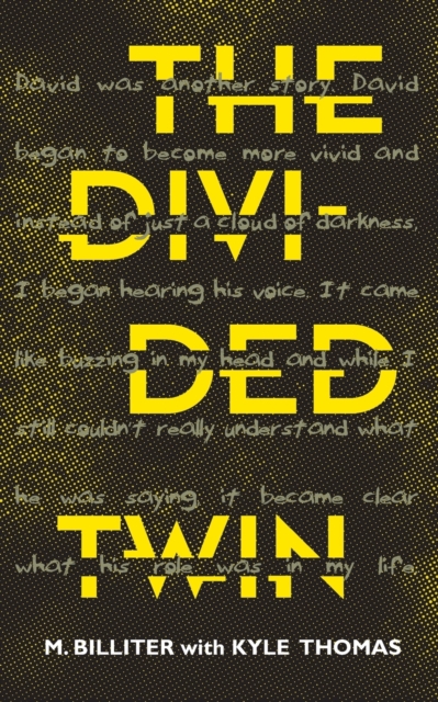 The Divided Twin, Paperback / softback Book
