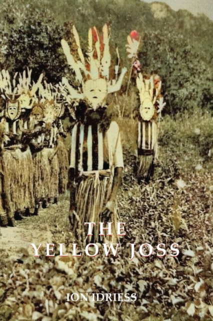 THE YELLOW JOSS, Paperback / softback Book