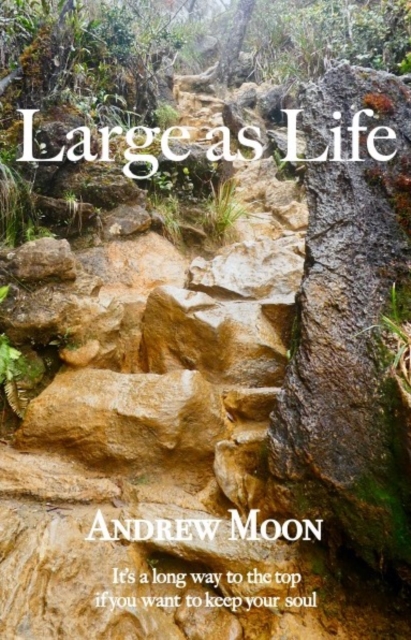 Large As Life : It's a long way to the top if you want to keep your soul!, EPUB eBook