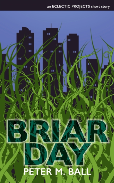 Briar Day, Paperback / softback Book