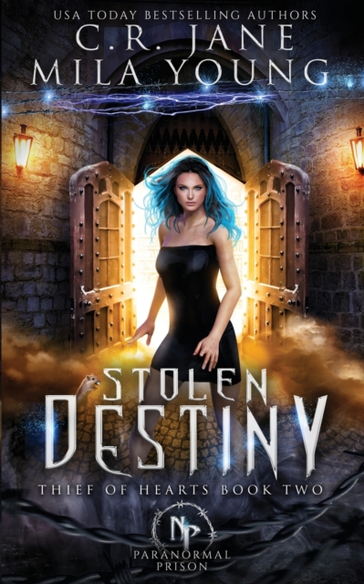 Stolen Destiny : Paranormal Romance, Paperback / softback Book