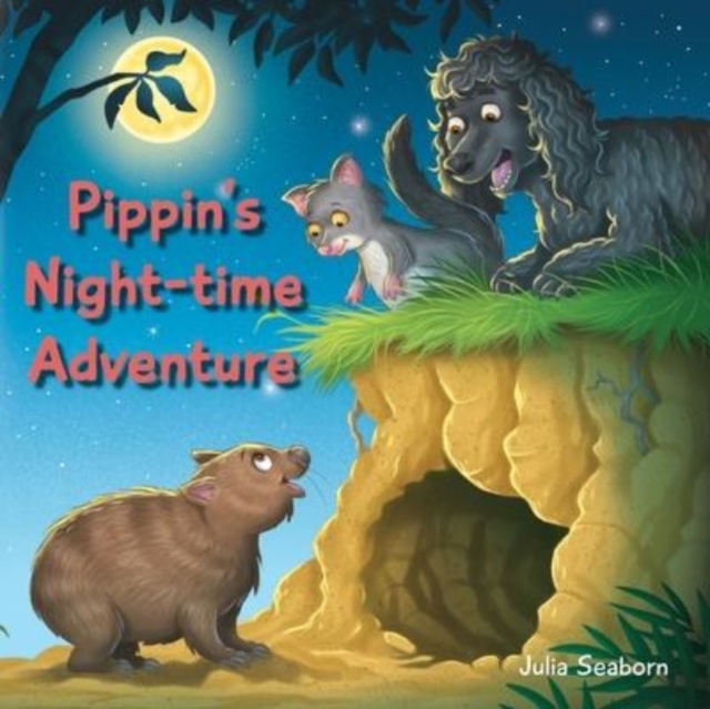Pippin's Night-time Adventure, Paperback / softback Book