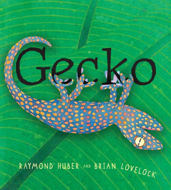 Gecko, Hardback Book