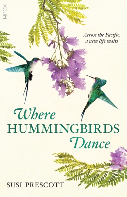 Where Hummingbirds Dance, Paperback / softback Book