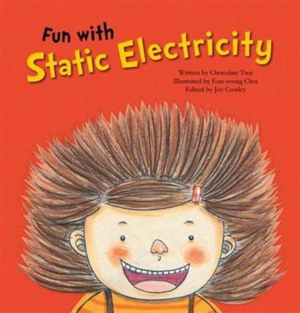 Fun with Statistic Electricity, Paperback / softback Book