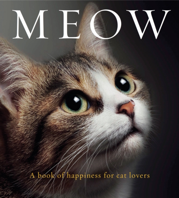 Meow : A book of happiness for cat lovers, Paperback / softback Book
