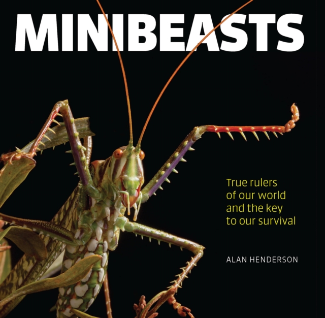 Minibeasts : True rulers of our world and the key to our survival, Hardback Book